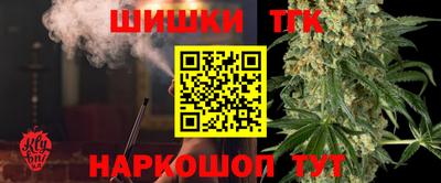 тгк Новозыбков