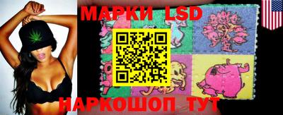 тгк Новозыбков