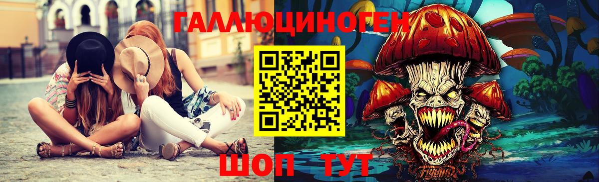 Псилоцибиновые грибы Psilocybe Туймазы