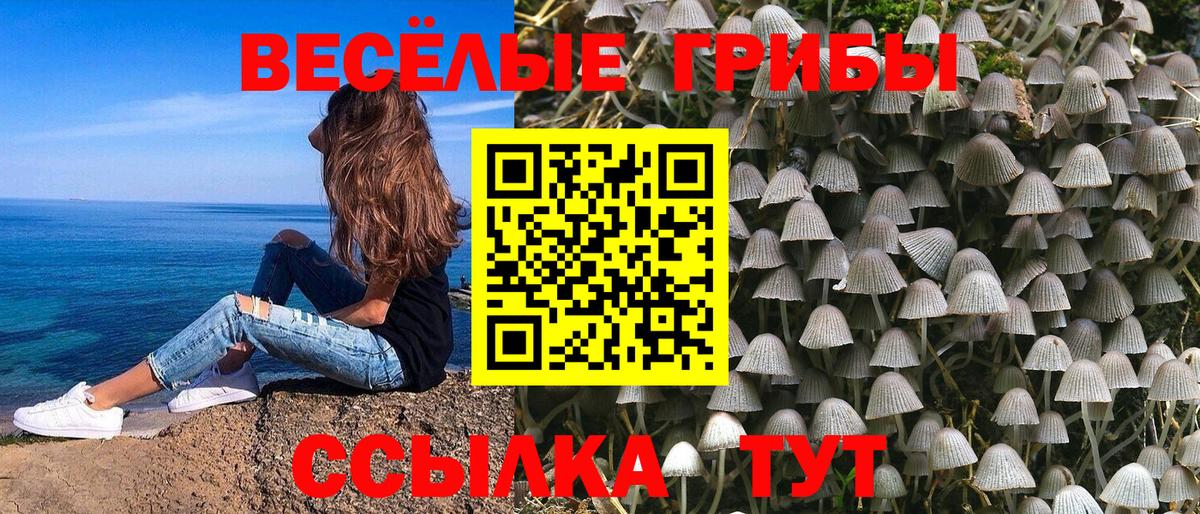 Туймазы  Галлюциногенные грибы MAGIC MUSHROOMS  Вход с VPN 
